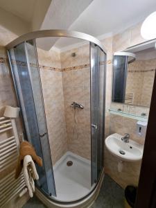 a bathroom with a shower and a sink at Penzion Rotunda in Harrachov