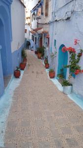an alley with potted plants on the side of a building at AYMANE ROOFTOP budget panoramic HOTEL in Chefchaouene