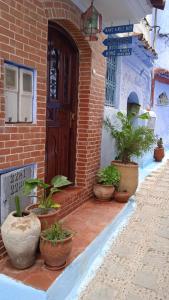 eine Gruppe von Topfpflanzen vor einem Haus in der Unterkunft AYMANE ROOFTOP budget panoramic HOTEL in Chefchaouen