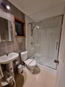 a bathroom with a shower and a toilet and a sink at Apart Hotel Antu de Villarrica in Villarrica