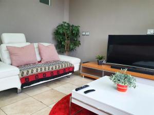 Televisyen dan/atau pusat hiburan di Franklin L Apartment