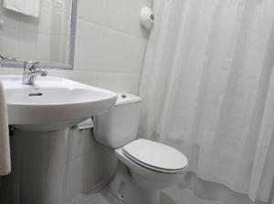 a white bathroom with a toilet and a sink at Hotel Los Robles in Cangas de Onís