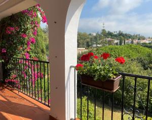 balkon z doniczką czerwonych kwiatów w obiekcie Casa Zawadi w mieście Mijas