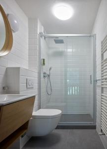La salle de bains est pourvue d'une douche, de toilettes et d'un lavabo. dans l'établissement Casa Sauris, à Sauris