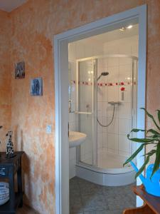 y baño con ducha y lavamanos. en Ferienwohnung in der Altstadt von Coswig Anhalt Gästezimmer, en Coswig