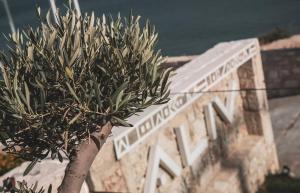 a bird sitting on top of a tree in front of a building at Aliv stone suites & spa in Agios Nikolaos