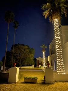 a building with a palm tree lit up at night at Masseria Filippo de Raho - Agri Bio Relais in Villa Convento