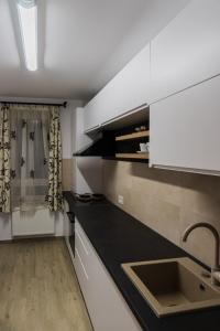 eine Küche mit einer Spüle und einer Arbeitsplatte in der Unterkunft Condmari VIP in Braşov