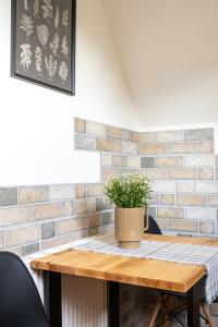 Fotografia z galérie ubytovania Apartament Tatry #dobrylot v Zakopanom