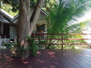a wooden deck with a tree and a fence at Comon Bungalow HaadChaoPhao in Haad Chao Phao