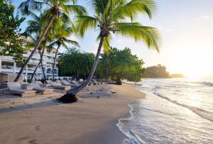 a beach with palm trees and chairs and the ocean at Royalton Grenada, An Autograph Collection All-Inclusive Resort in Bamboo