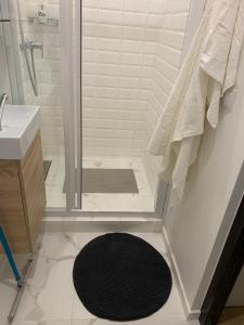 a bathroom with a shower and a sink and a rug at AK Apartment in Rīga