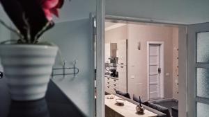 Appartamento il Borgo di Baroncino في Faiano: مرآة في غرفة مع مزهرية مع نبات