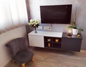 ein Wohnzimmer mit einem TV und einem Stuhl in der Unterkunft Apartman ISKRA in Aranđelovac
