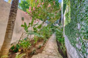 Boutique Hotel Secret Garden Granada外面的花园
