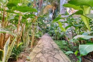 Boutique Hotel Secret Garden Granada外面的花园