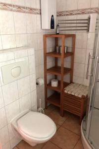 a small bathroom with a toilet and a shower at Ferienhaus am Plauer See - a55880 in Lenz