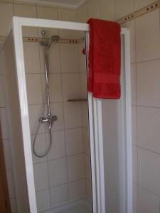 a bathroom with a shower with a red towel at Ferienwohnung am Plauer See - a55900 in Alt Schwerin