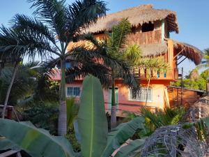 a house with a thatched roof and a palm tree at Casa Gio in Puerto Escondido