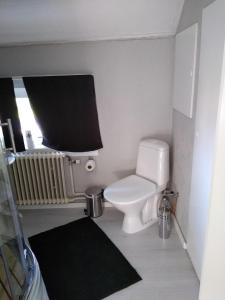a small bathroom with a toilet and a radiator at Danny in Mellansel