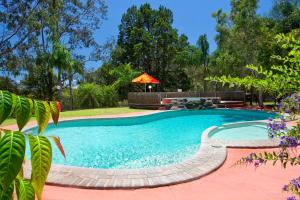 a pool with a blue umbrella on top of it at Noosa North Shore Pty Ltd in Noosa North Shore