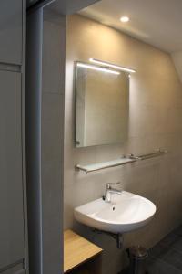 a bathroom with a sink and a mirror at Appartement Dersaborg in Valkenburg