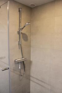 um chuveiro numa casa de banho com uma porta de vidro em Appartement Dersaborg em Valkenburg