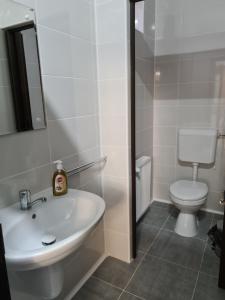 a bathroom with a white sink and a toilet at Pensiunea Maya in Cenad