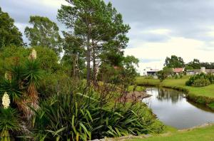a pond in a park with trees and plants at Preciosa casa loft ideal parejas en Barrio Privado in Balneario Mar Chiquita
