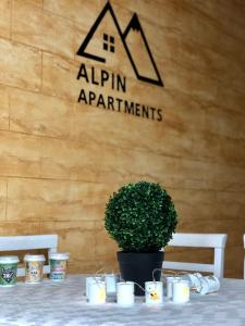 Alpin Apartments Vlašić في فلاسيتش: طاولة عليها نباتات الفخار والشموع