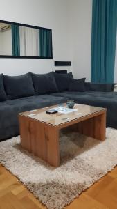 Afbeelding uit fotogalerij van Apartman Ema in Valjevo