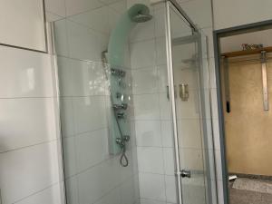 een badkamer met een douche en een glazen deur bij Wohnung am Phönixsee in Dortmund