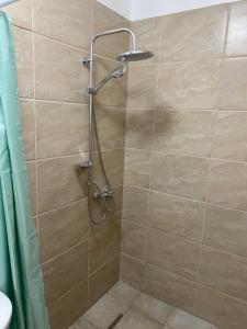 La salle de bains est pourvue d'une douche et d'une porte en verre. dans l'établissement Casa Transilvania, à Mediaş