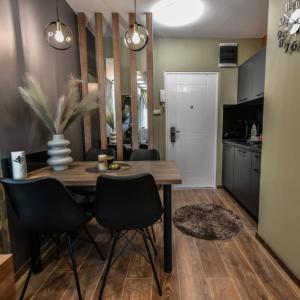 Kuchyň nebo kuchyňský kout v ubytování BANE APARTMANI 4.