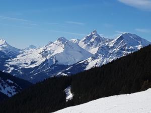 a snow covered mountain range with trees in the foreground at Saint-Gervais-les-Bains, Appartement 4 personnes in Saint-Gervais-les-Bains