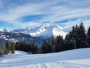 una cordillera cubierta de nieve con árboles y nieve en Saint-Gervais-les-Bains, Appartement 4 personnes en Saint-Gervais-les-Bains