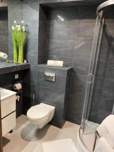 a bathroom with a toilet and a shower at Apartament SPA 52 Resort Kozubnik blisko Szczyrk- 5D Apartamenty in Porąbka