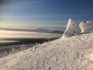 una ladera cubierta de nieve con árboles en una montaña en Pikkuriikkinen yksiö kaikilla herkuilla Levin keskustassa, en Levi