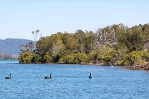 フォースターにある4 Bedroom modern house opposite Wallis Lakeのギャラリーの写真