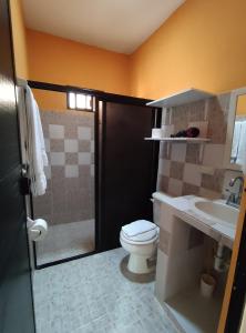 a bathroom with a toilet and a shower and a sink at Casa Xu´unan in Valladolid