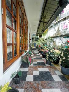 a greenhouse with potted plants on a checkered floor at Daffodils Inn in Adams Peak