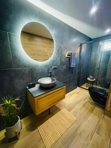 a bathroom with a sink and a mirror at Villa 3 in Mediaş