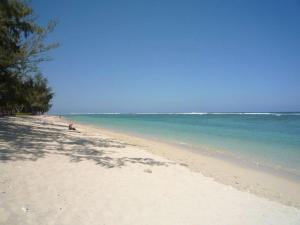 ein Sandstrand mit dem Meer im Hintergrund in der Unterkunft Purple - Duplex cosy en plein cœur de l'Hermitage, proche du lagon in L'Ermitage-Les-Bains