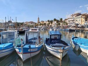eine Gruppe von Booten liegt in einem Hafen vor Anker in der Unterkunft Appartement T2 Six Fours Cap Negre,1 mn à pied de la mer in Six-Fours-les-Plages