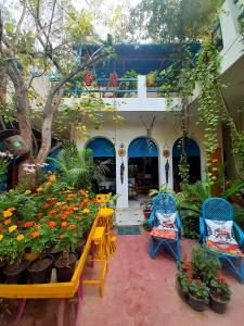 The Coral House Homestay by the Taj外面的花园