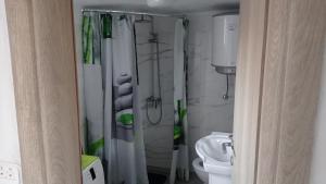 uma pequena casa de banho com chuveiro e WC em Holiday home Marija em Vrlika