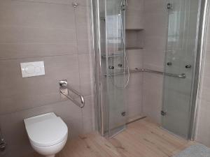 ein Badezimmer mit Toilette und Glasdusche in der Unterkunft Main Lieblingsplatz in Langenprozelten