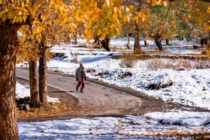 Zostel Sissu im Winter