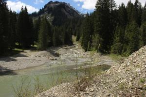 Paesaggio naturale nelle vicinanze dell'hotel