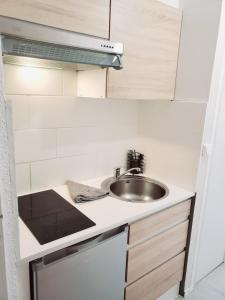 una cucina con lavandino e piano di lavoro di Appartement avec jardin privatif ad Albi